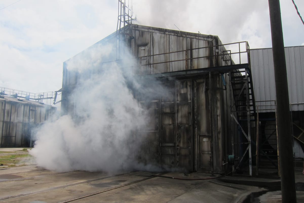 What Alive Feels Like